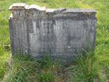 image of grave number 303341